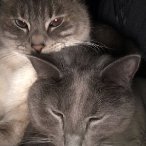 Meet your Posher, Susan